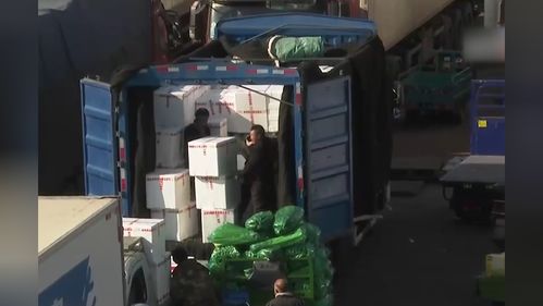 新發(fā)地市場春運首日探訪 日用雜品批發(fā)保障節(jié)日供應(yīng)